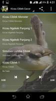Suara Burung Ciblek Gacor screenshot 2