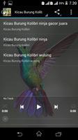 Kumpulan Suara Burung Offline capture d'écran 2