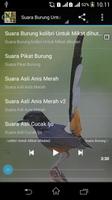 Suara Burung Untuk Memikat Poster