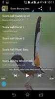 برنامه‌نما Suara Burung Untuk Memikat عکس از صفحه
