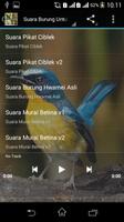 Suara Burung Untuk Memikat captura de pantalla 2