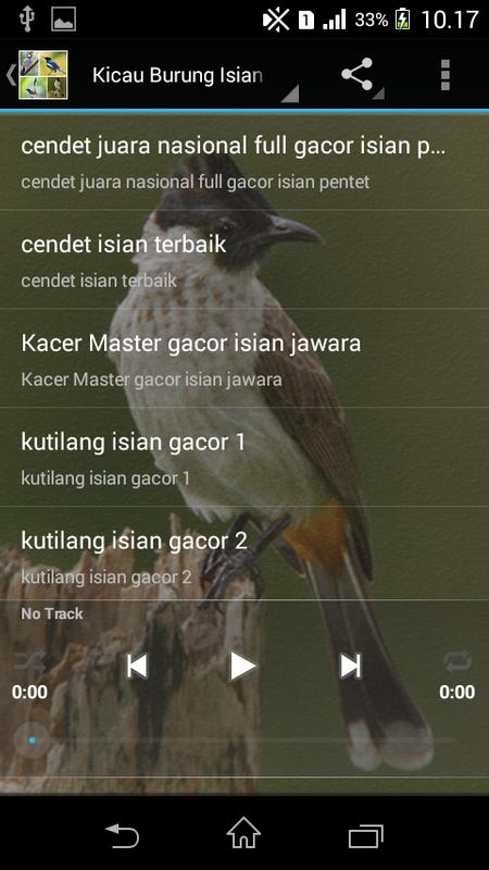 Suara Suara