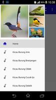 Top Suara Burung Berkicau Offline पोस्टर