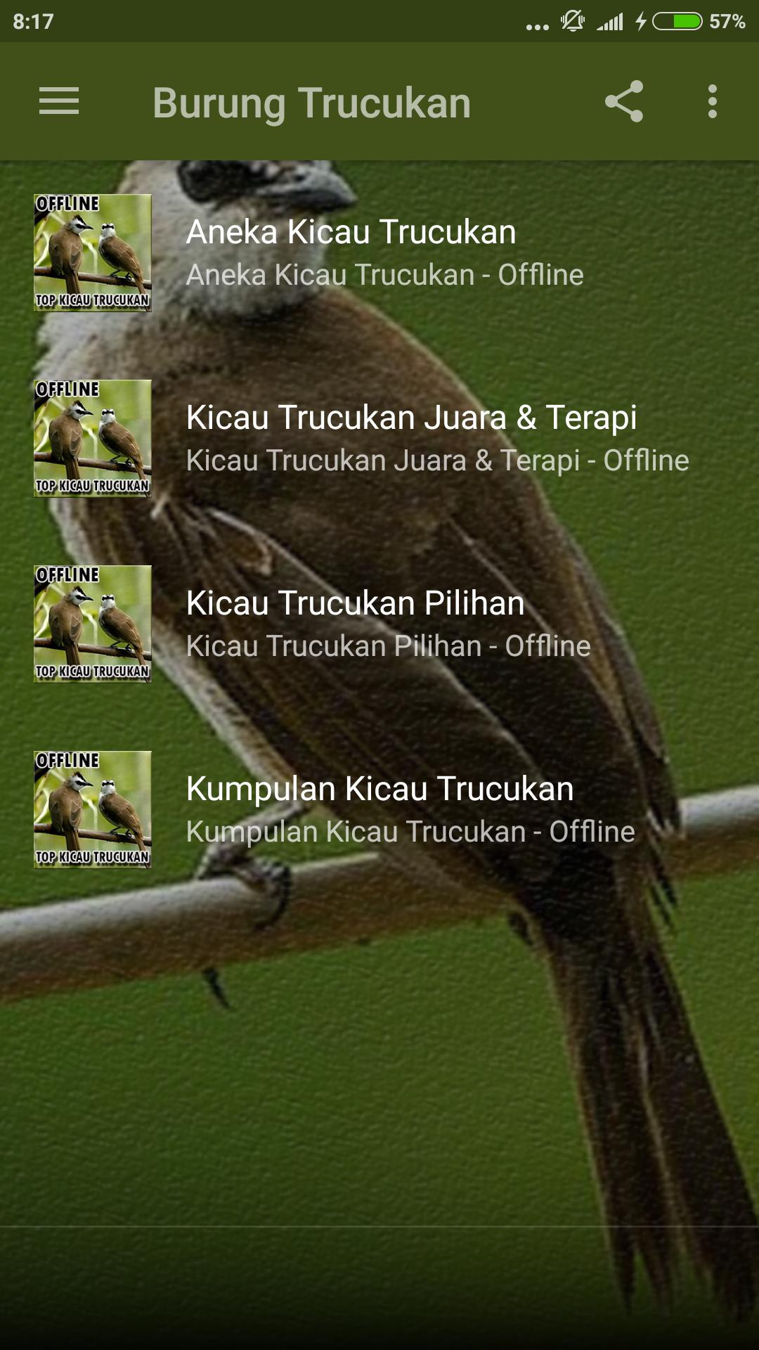 Suara Burung Trucukan Ropel For Android Apk Download