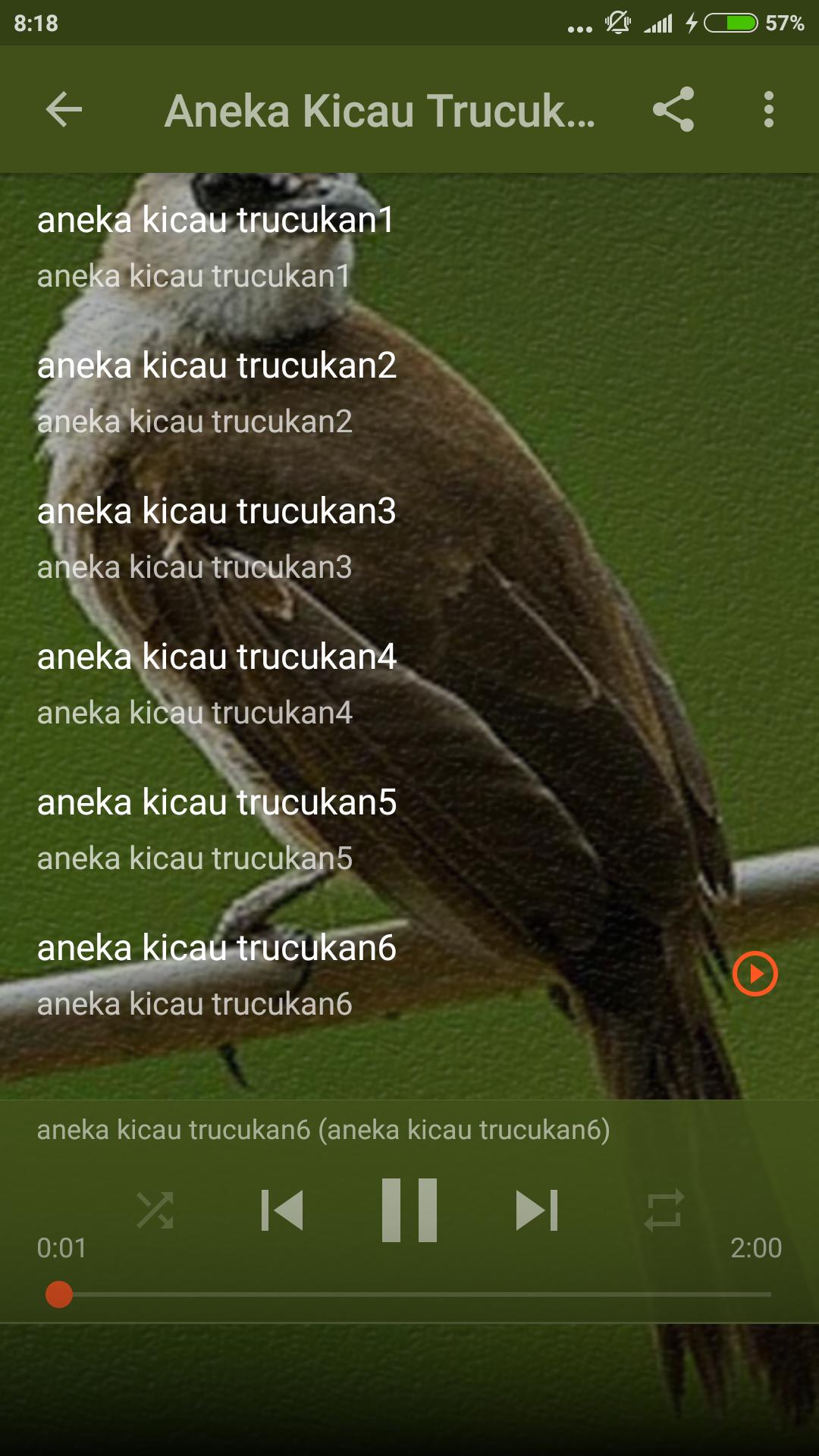 Suara Burung Trucukan Ropel For Android Apk Download