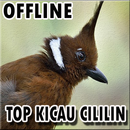 Suara Burung Cililin Gacor Offline APK