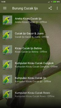 Master Cucak Ijo Mini Gacor Apk App Free Download For Android