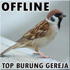 Suara Burung Gereja Offline icône