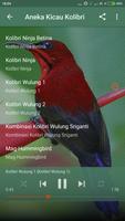 Suara Burung Kolibri Sepah Raja capture d'écran 2