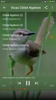 Suara Burung Ciblek Kristal Gacor Ekran Görüntüsü 3