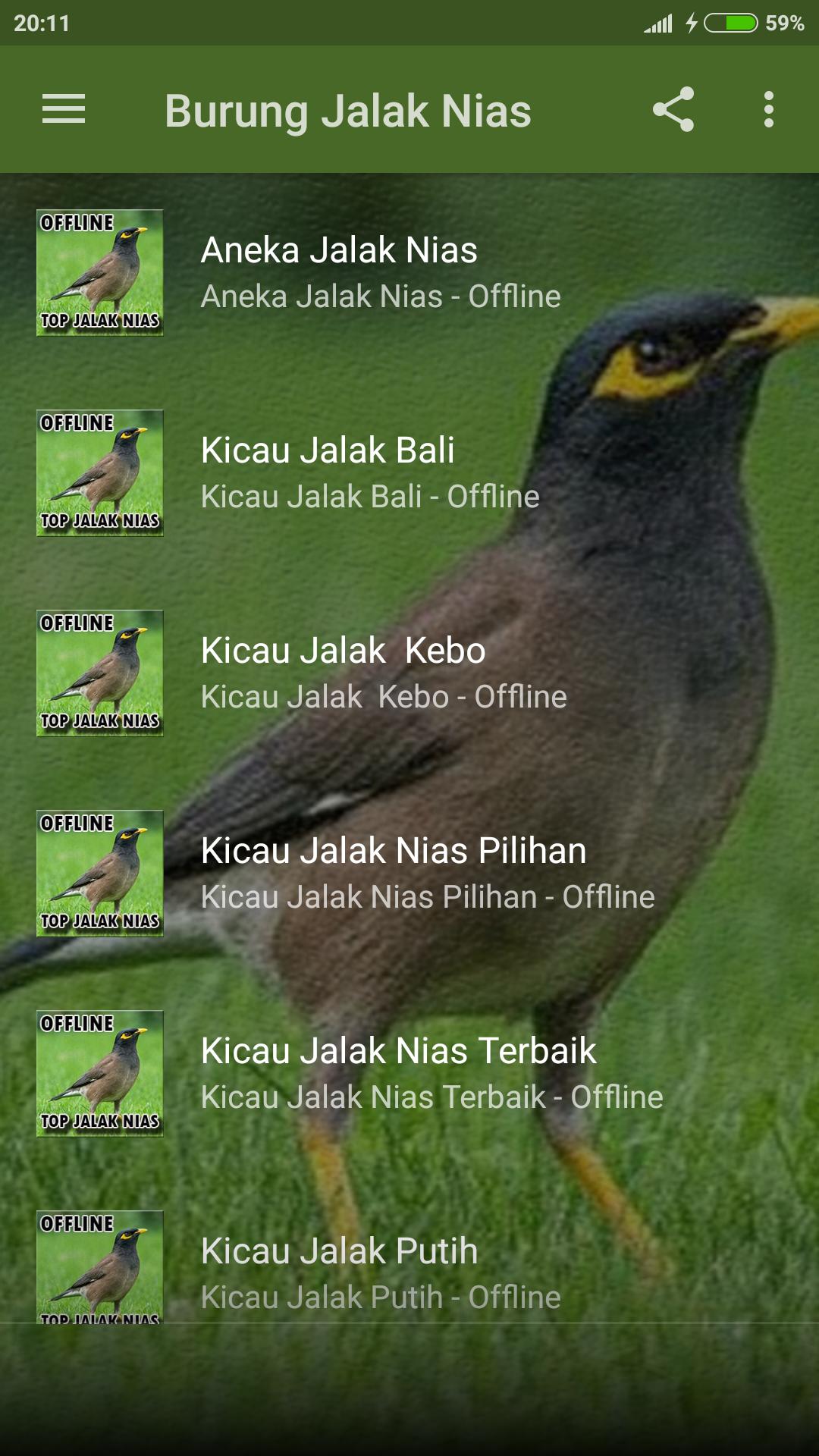 Suara Jalak Nias Gacor Offline For Android Apk Download