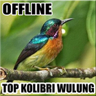 Suara Kolibri Wulung Gacor icône