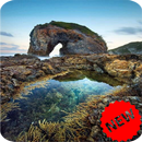 Nature Wallpaper APK