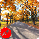 Autumn Wallpaper APK