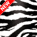 Zebra Print Wallpapers