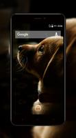 Dogs Wallpaper اسکرین شاٹ 1