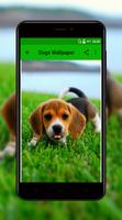 Dogs Wallpaper اسکرین شاٹ 2