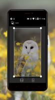 Owl Wallpapers captura de pantalla 3