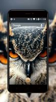Owl Wallpapers Affiche