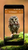 Owl Wallpapers تصوير الشاشة 2