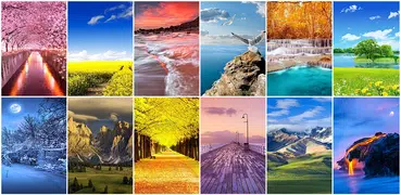 Nature Wallpaper