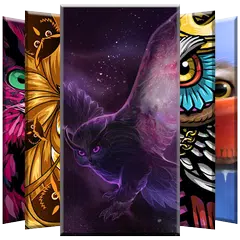 Owl Wallpapers APK download