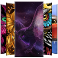Owl Wallpapers