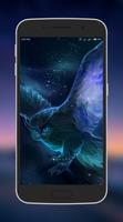 Owl Wallpapers Affiche