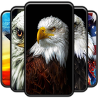 Eagle Wallpaper آئیکن