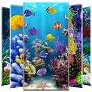 Coral Reef Wallpaper APK