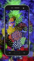 Coral Reef Wallpaper скриншот 1