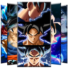 Ultra Instinct Goku Wallpaper icône