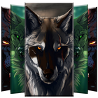 Wolf Wallpapers ไอคอน