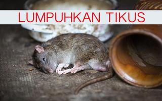 Suara Pengusir Tikus(Offline) Affiche