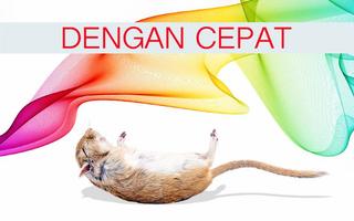 Suara Pengusir Tikus(Offline) capture d'écran 1