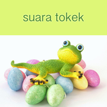 Suara Tokek