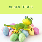 Suara Tokek icon