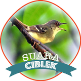 Suara Burung Ciblek icon