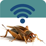 Suara Jangkrik MP3 simgesi