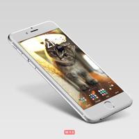 Cat Wallpaper تصوير الشاشة 1