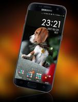 Dog Wallpaper 스크린샷 1