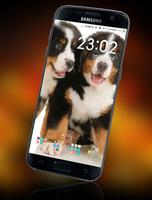 Dog Wallpaper 스크린샷 2