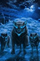 Wolf Wallpaper 海报