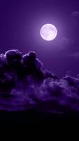 Moon Wallpapers ảnh chụp màn hình 1