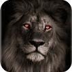 Lion Wallpapers