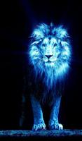 3 Schermata Lion Wallpapers