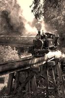 Train Wallpaper โปสเตอร์