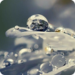 Bokeh Wallpaper