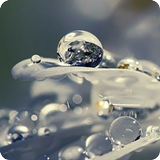 Bokeh Wallpaper icon