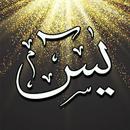 SURAH YASIN LENGKAP APK